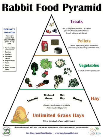 Rabbit Food Pyramid